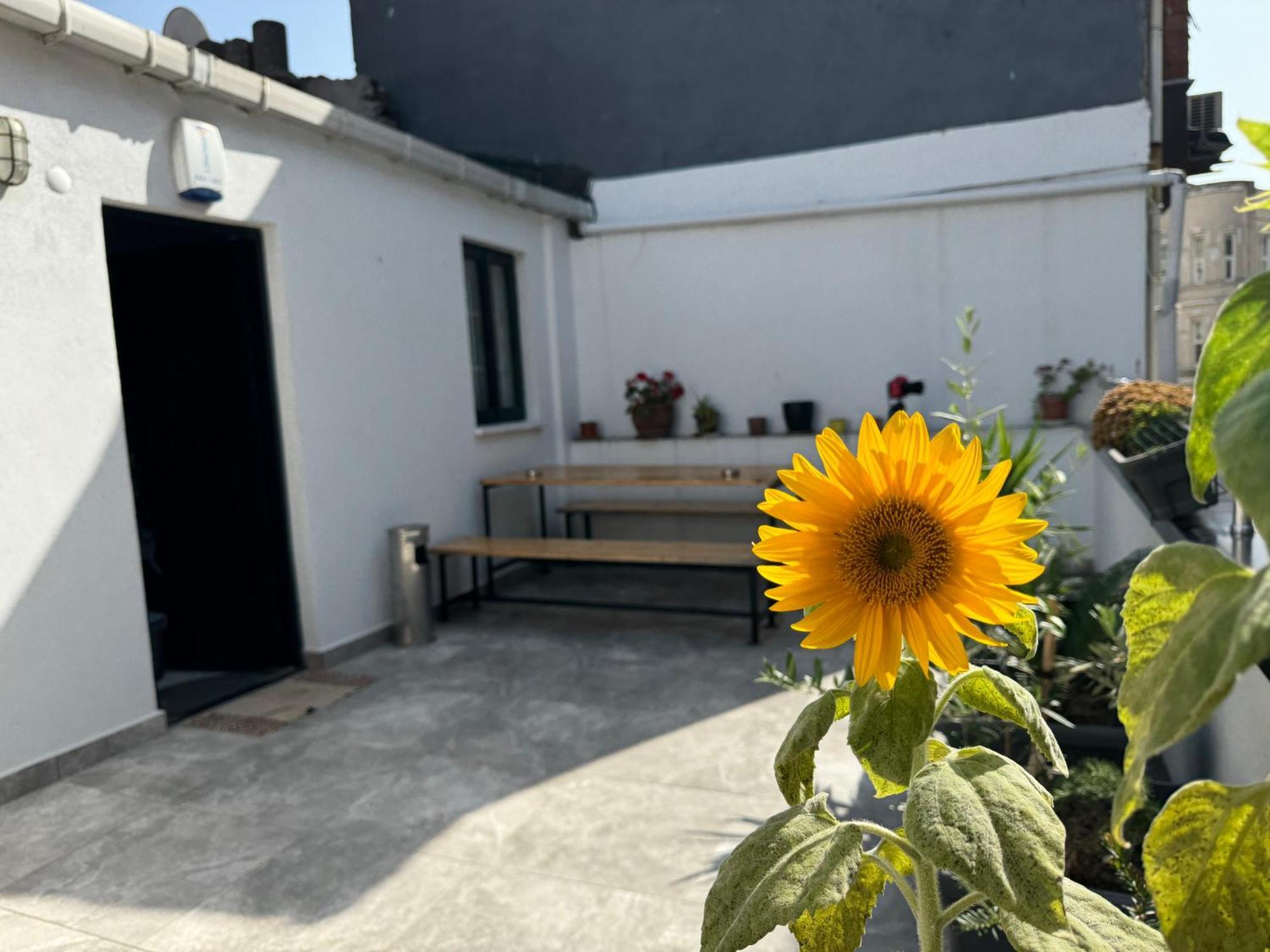 Savcibey Building Apartman Isztambul Kültér fotó